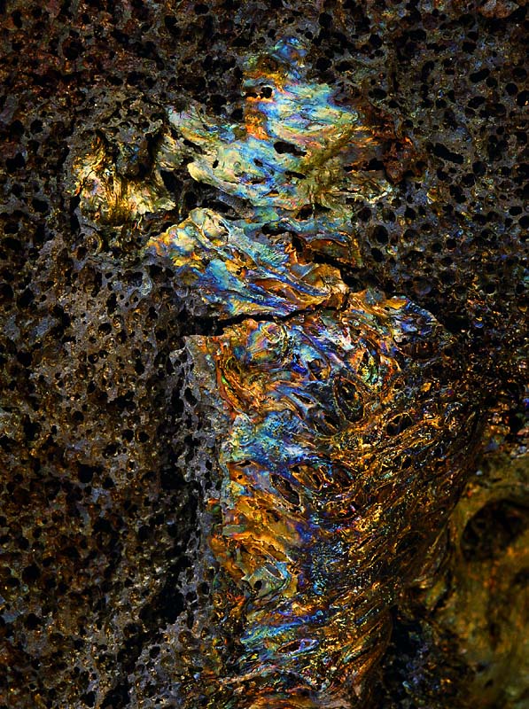 The Online Photographer: Pentax 67 100mm Macro Lens: Review